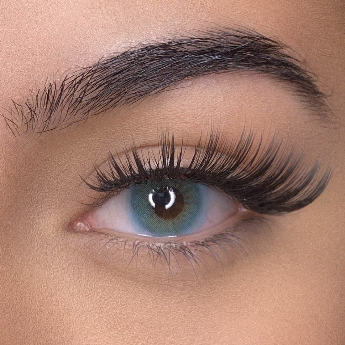 lentilles de couleurs