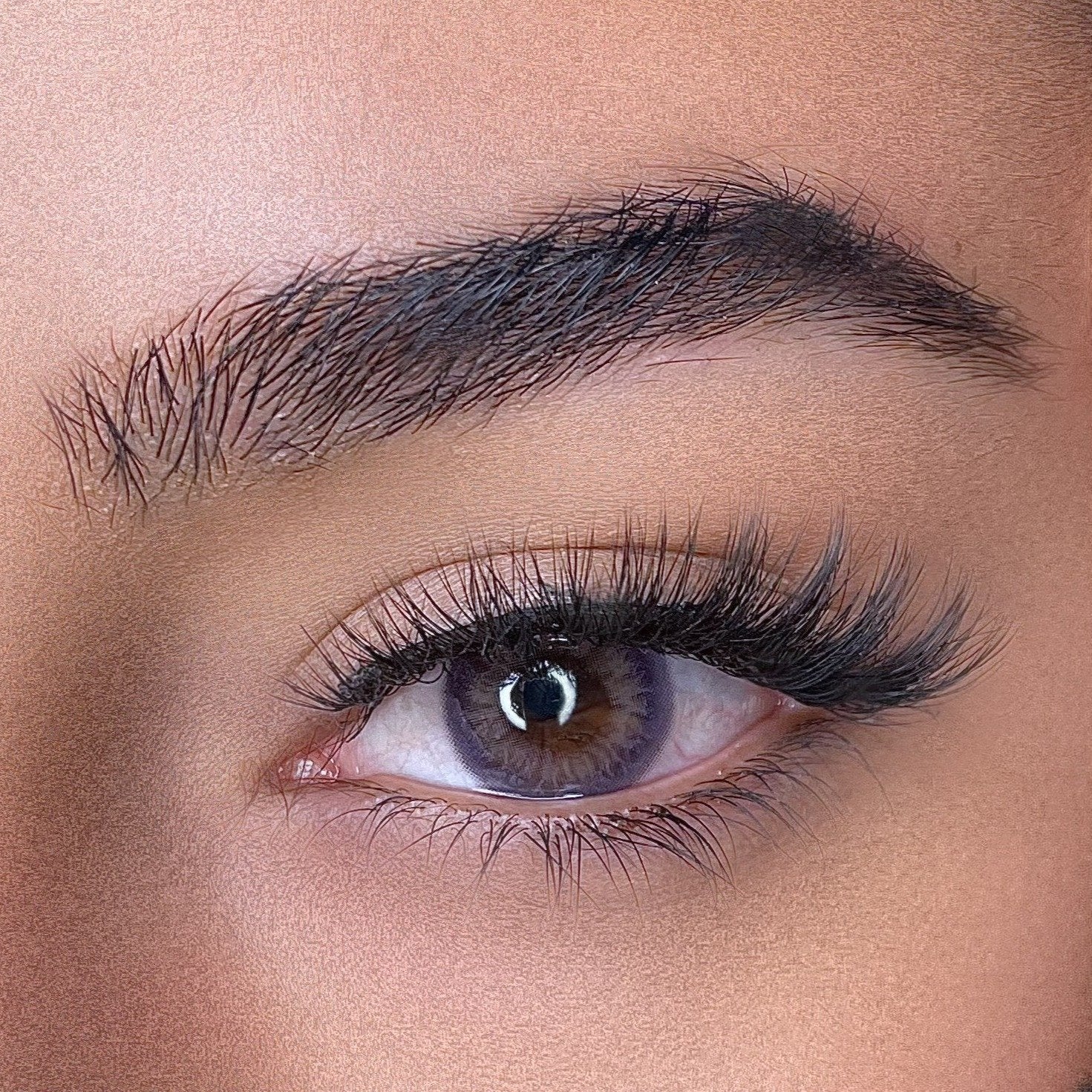 lentilles de couleurs