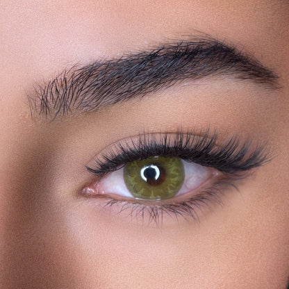 lentilles de couleurs
