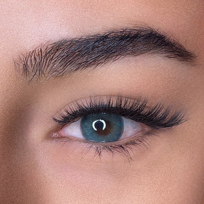lentilles de couleurs