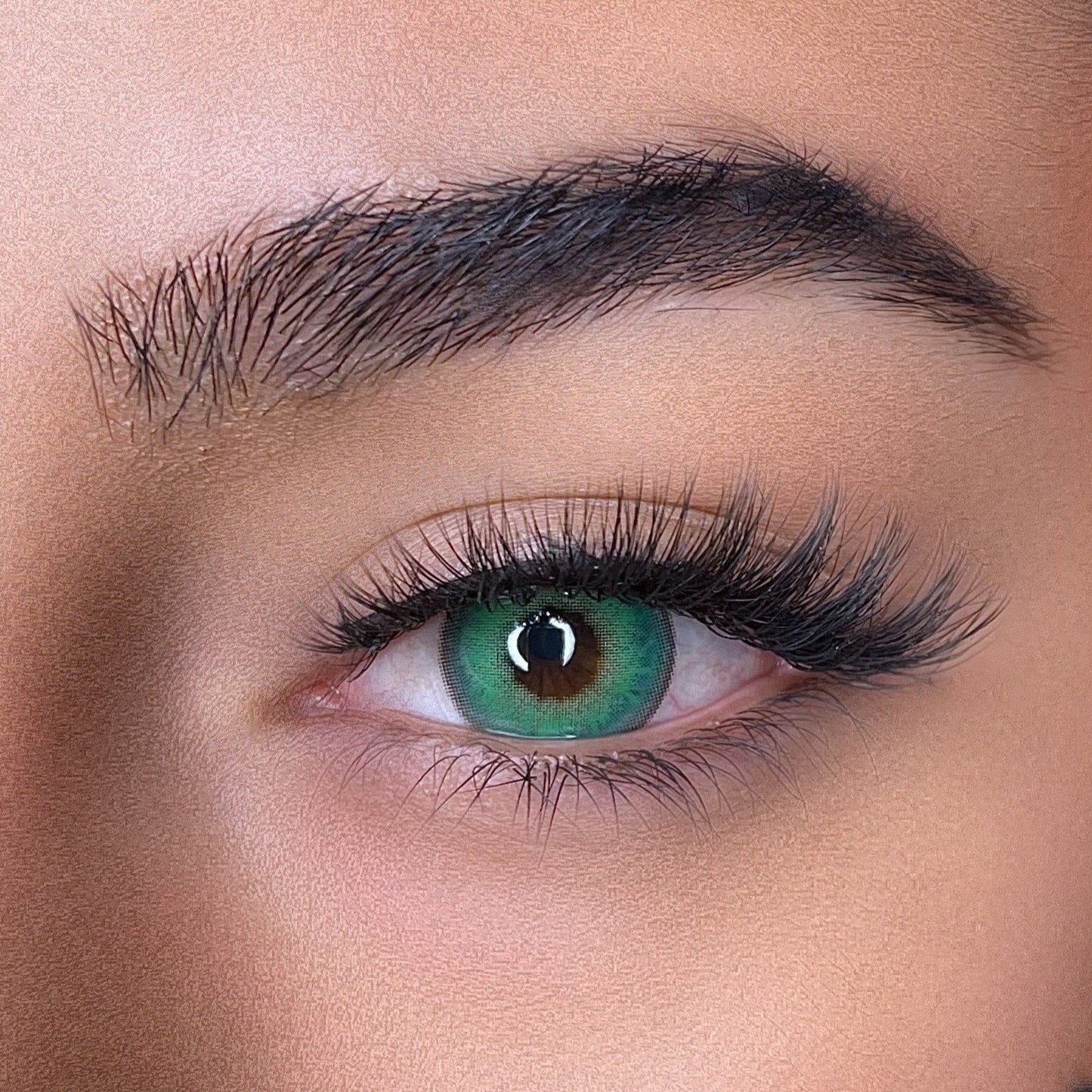 lentilles de couleurs