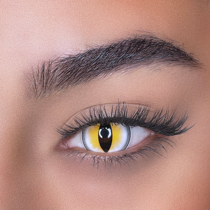 lentilles de couleurs