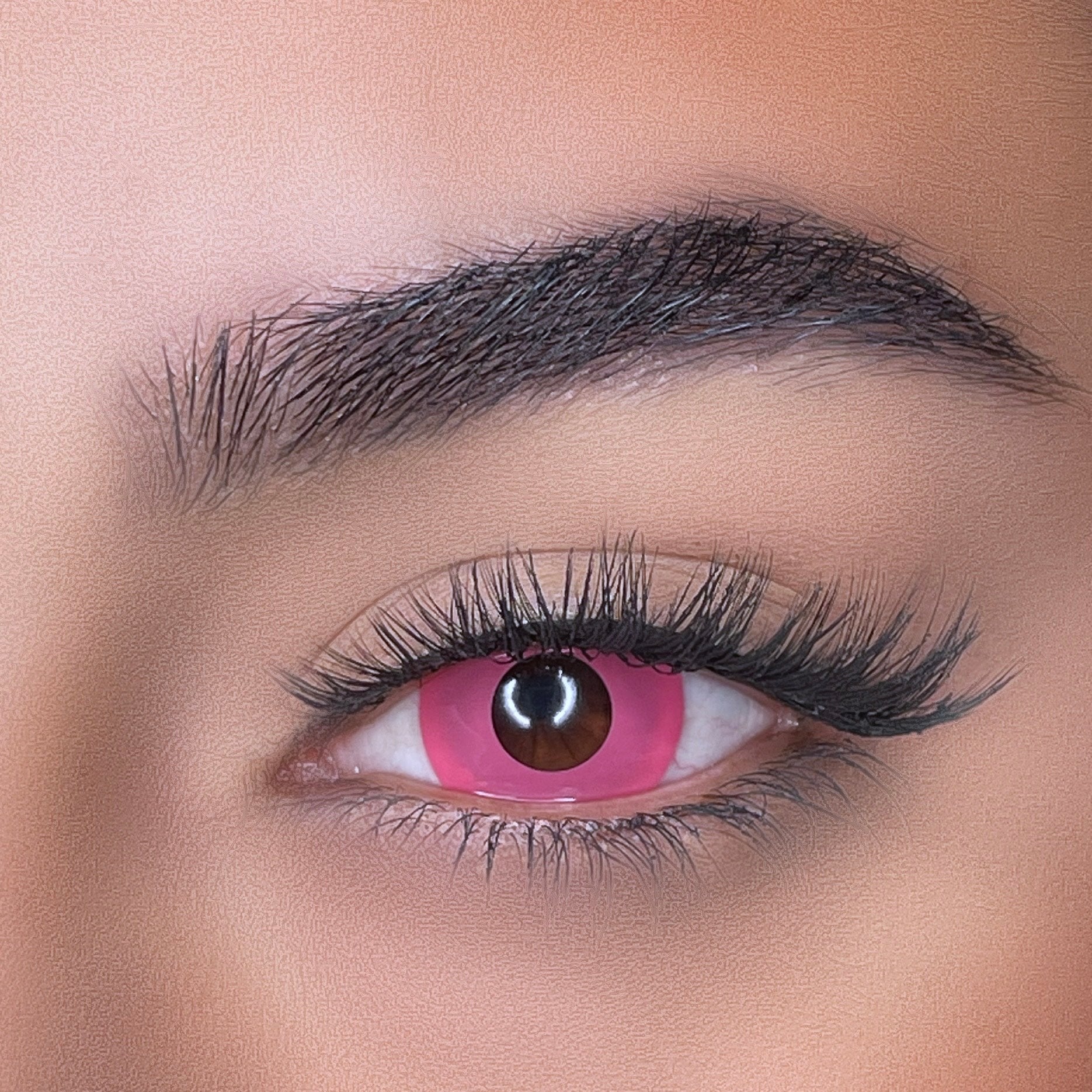 lentilles de couleurs
