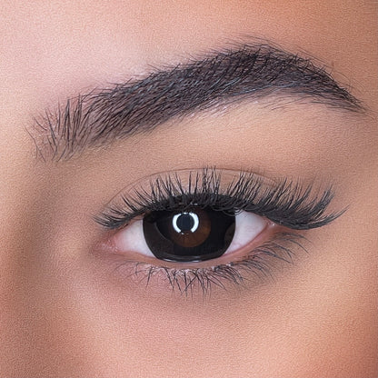 lentilles de couleurs