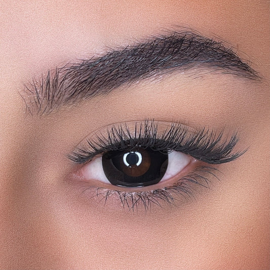lentilles de couleurs