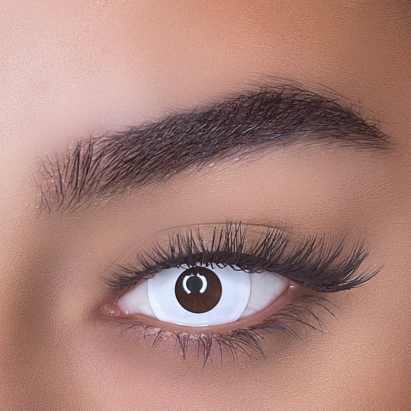 lentilles de couleurs