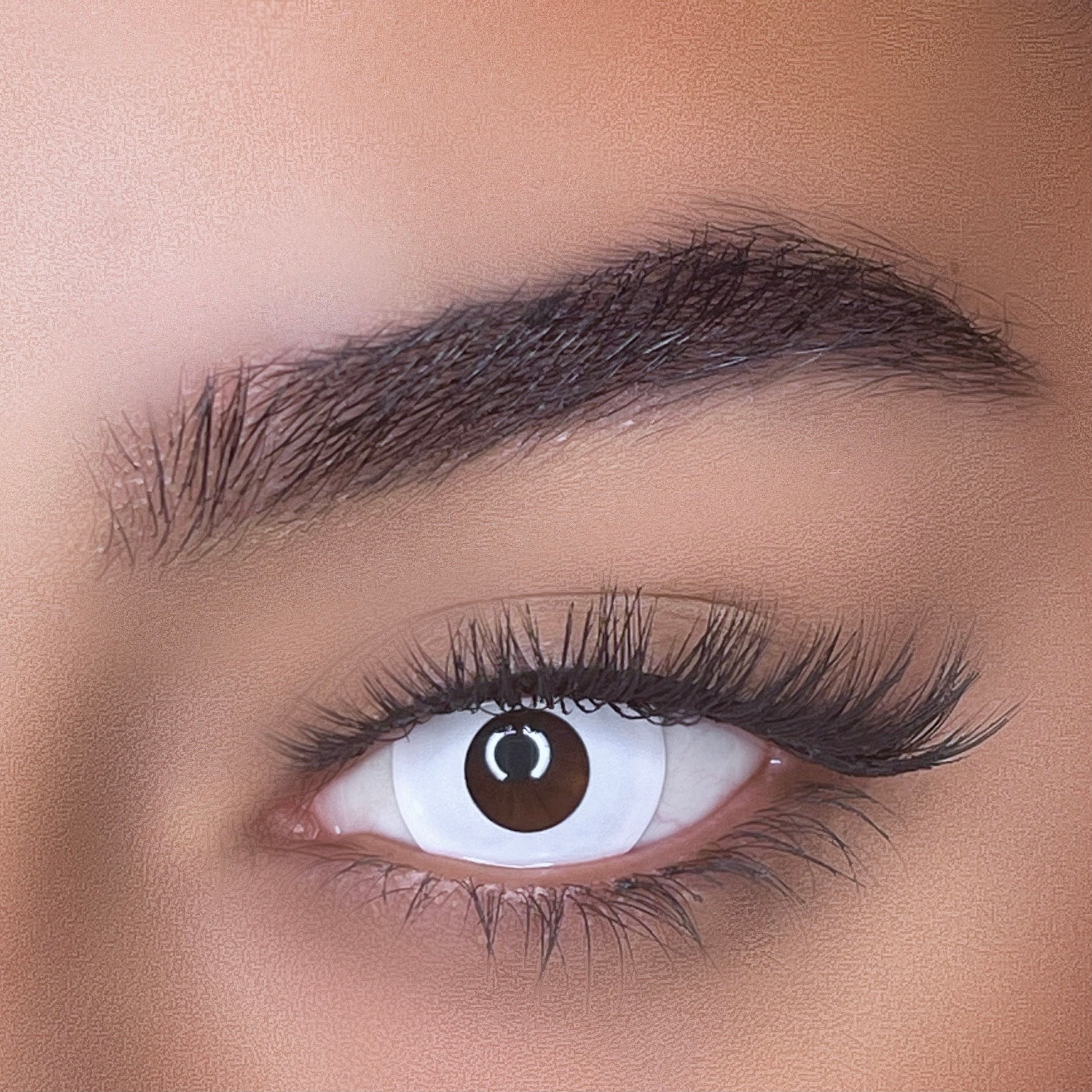 lentilles de couleurs